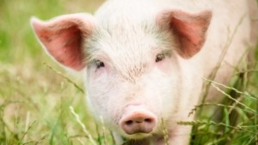 Do novca iz EU fondova teško se dolazi