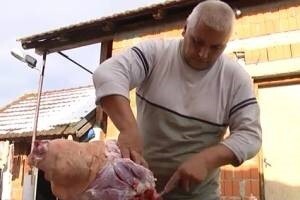 Tradicionalna svinjokolja u Ceriću