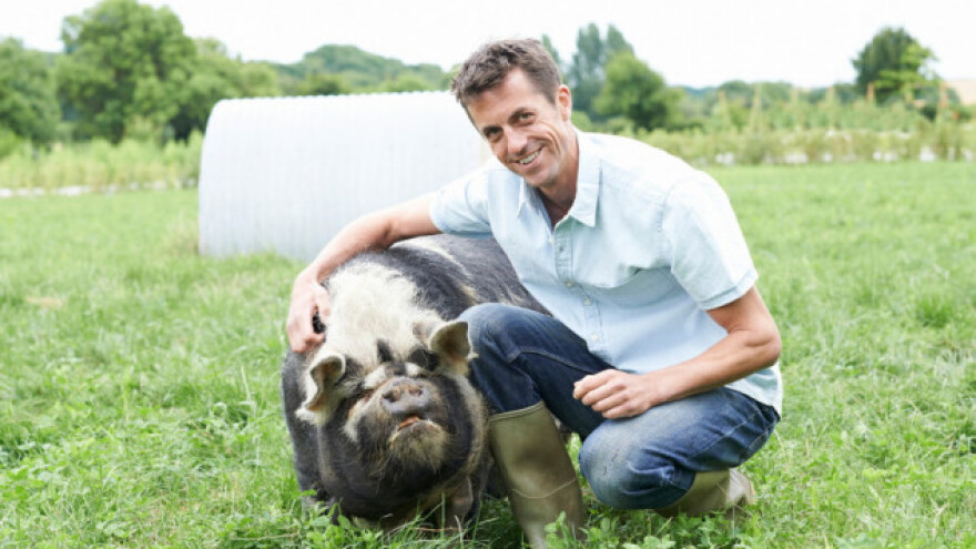 EU ruši izvozne rekorde, adut je svinjetina