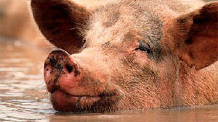 Mavrović odbacuje optužbe