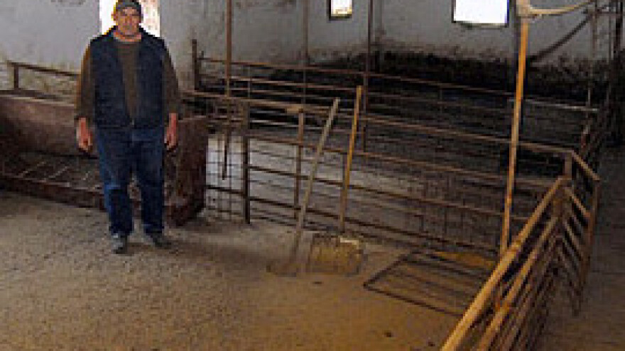 Zbog tova svinja 250.000 kn u minusu