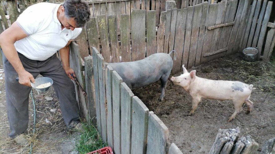 Dodatan novac za sprečavanje AKS-a i nadoknadu štete vlasnicima