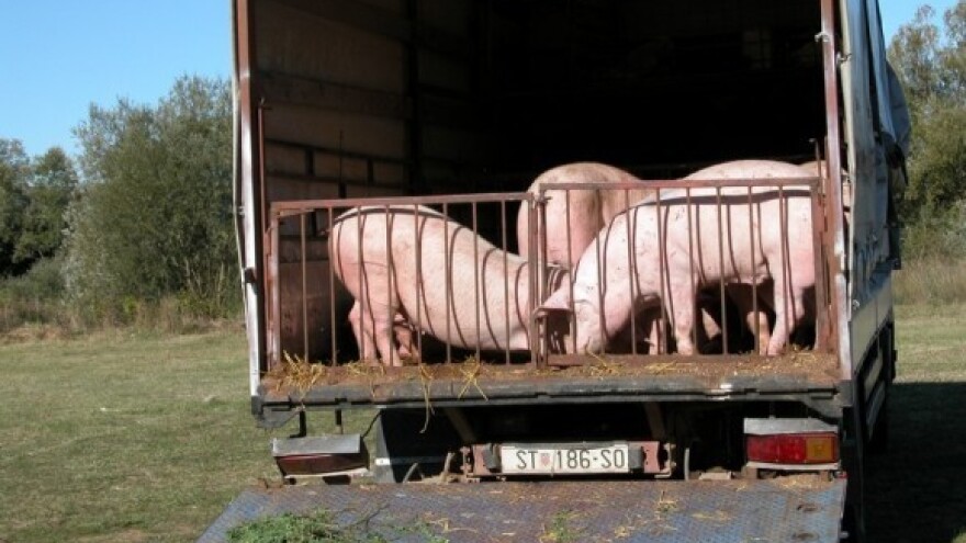 Sa PDV-om na meso od 10 posto možemo živjeti!