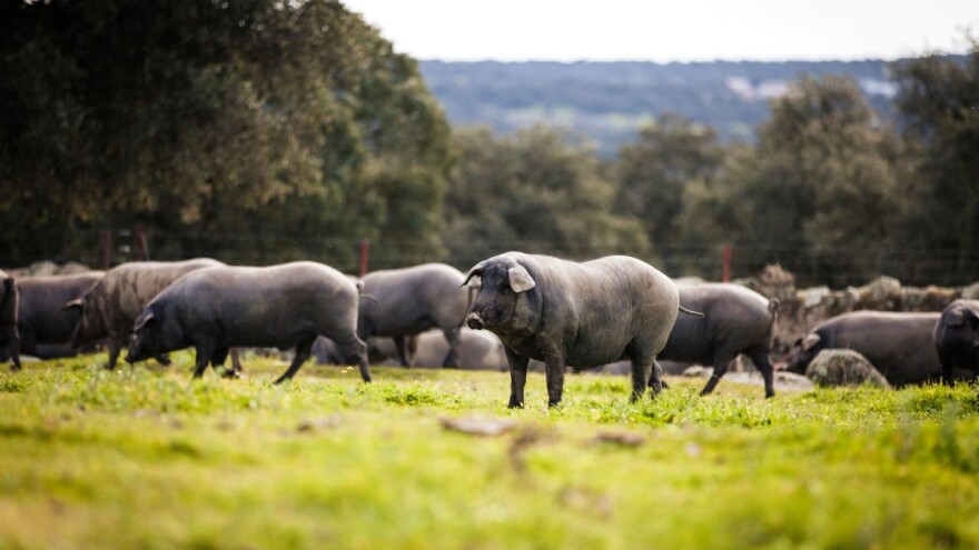 Reforma ZPP-a prioritet agrarne politike portugalskog predsjedanja Vijećem EU