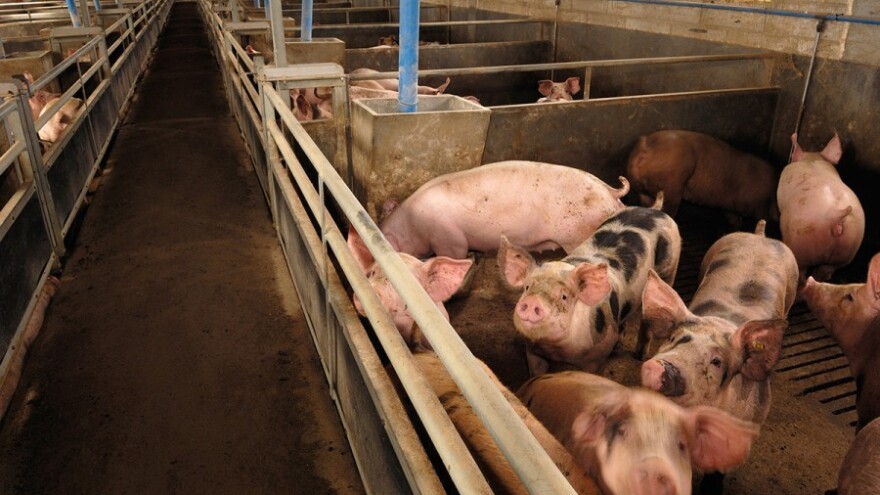 Prijedor raspisao poziv za podsticajna sredstva