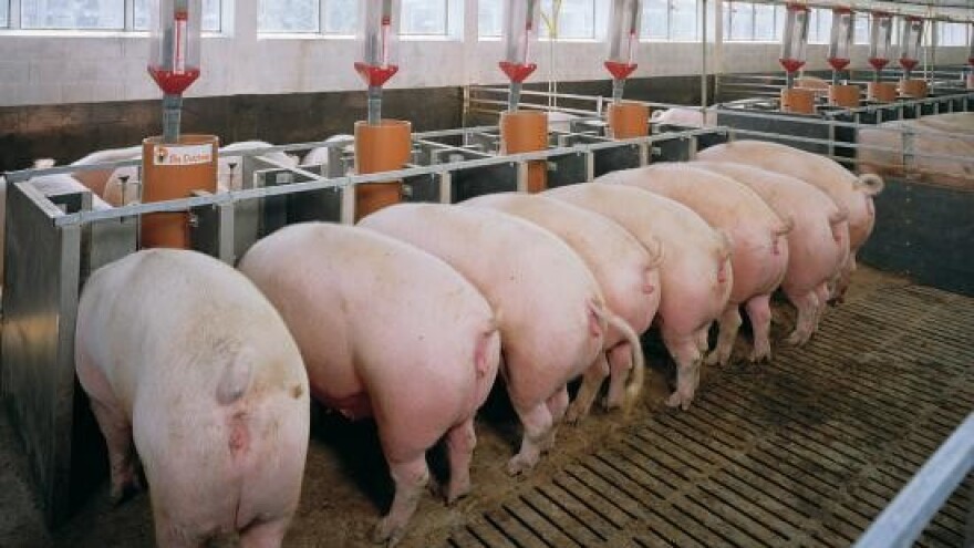 Obiteljskom poljoprivrednom gospodarstvu 3,6 milijuna kuna