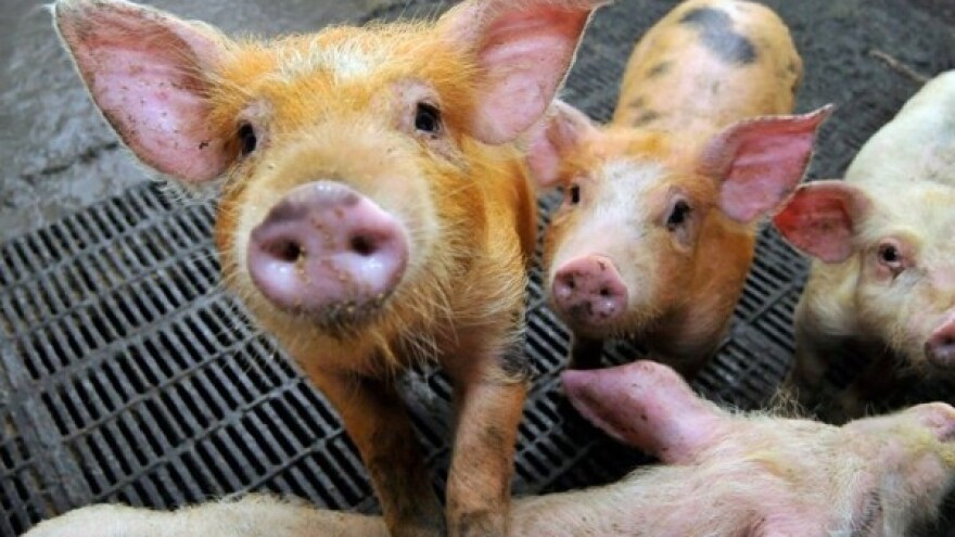 Imanje itekako spomena vrijedno!