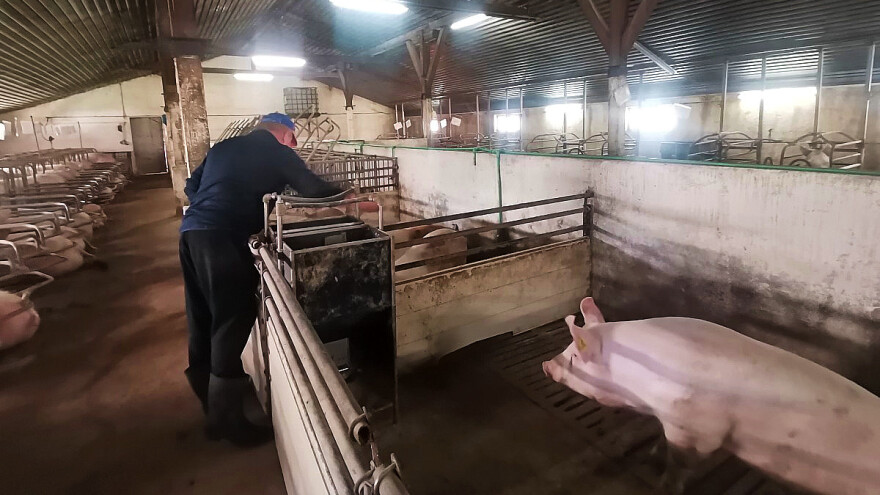 Proizvođačke cijene u poljoprivredi rasle i u prva tri mjeseca 2023, evo što kaže statistika