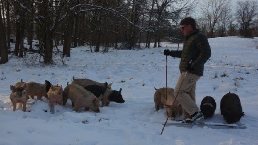 Očekuje nas promjenjivi ožujak sa snježnim uvjetima!