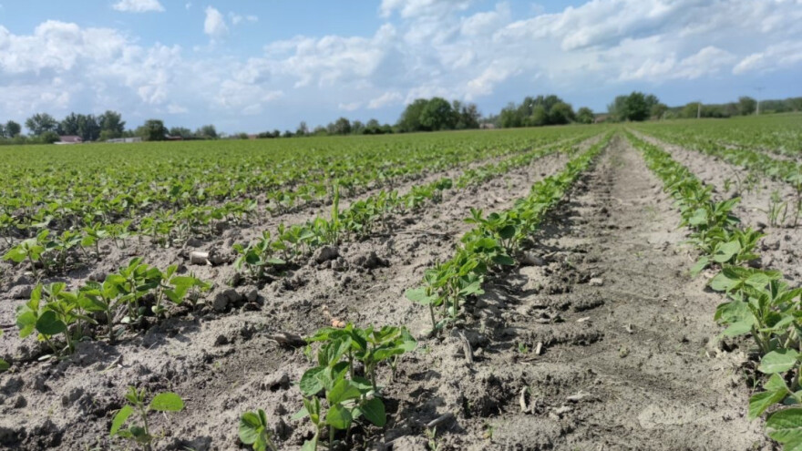 Program sufinanciranja analize sjemena soje na prisutnost GMO u e-savjetovanju