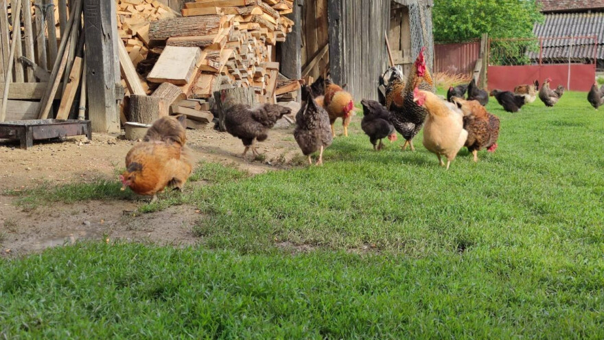 Koje promjene je donijela nova Uredba o ekološkoj proizvodnji?