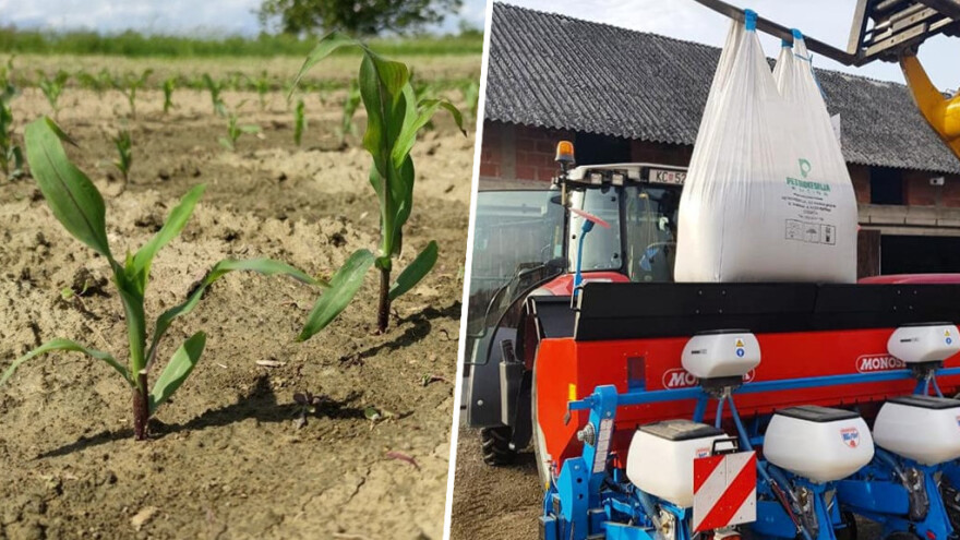 Predsjetvena i startna gnojidba okopavina - na što paziti?