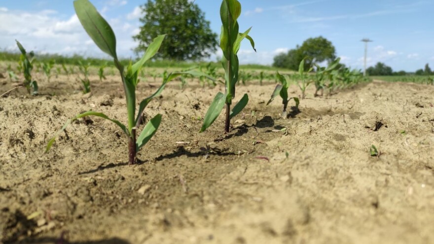 U siječnju natječaj za obnovu poljoprivrednog zemljišta i proizvodnog potencijala