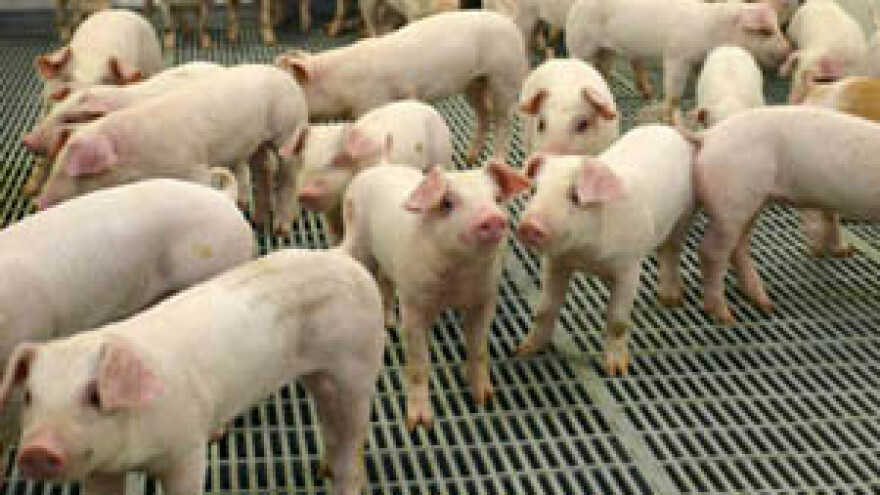 Ne može se poistovjetiti štala s apartmanima