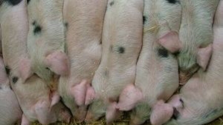 NutriFair 2014. u Danskoj