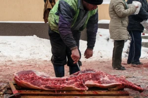 Porasle cijene svinja, velika mogućnost izvoza