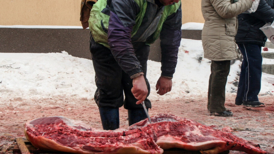 Porasle cijene svinja, velika mogućnost izvoza