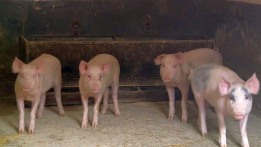 Sve manje obradive zemlje