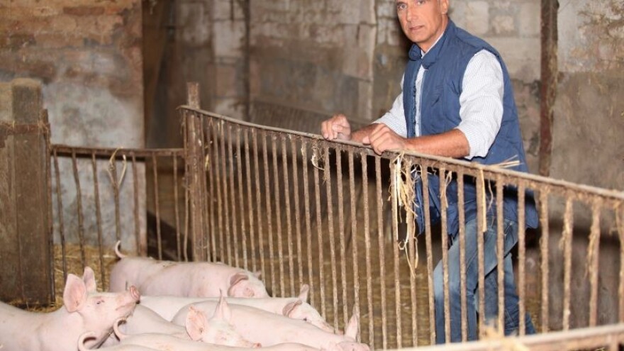 Što koči razvoj Klastera svinjogojaca?