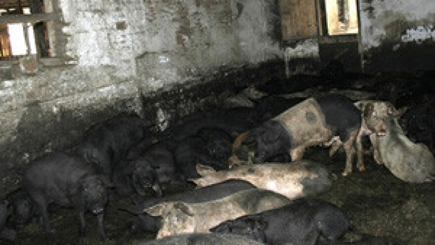 Skandal na eko imanju Mavrovića