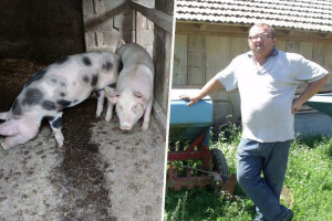 ASK u Hrvatskoj: Vrijeme je za ohladiti glave, smanjiti bespotrebna kretanja i prebroditi