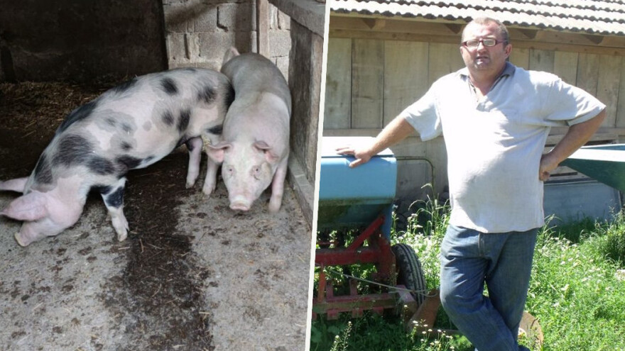 ASK u Hrvatskoj: Vrijeme je za ohladiti glave, smanjiti bespotrebna kretanja i prebroditi