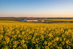Svinjetina i uljarice popularni izvozni proizvodi
