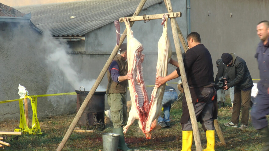 Sremski svinjokolj za razvoj seoskog turizma