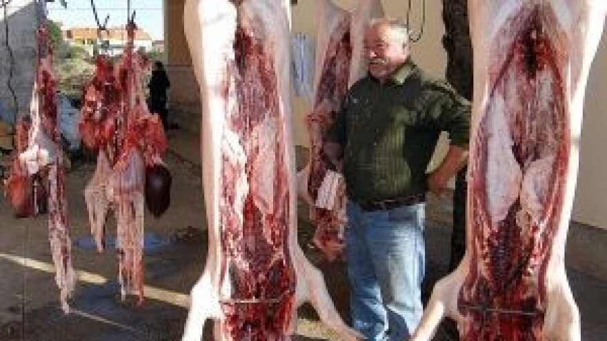 Sve što trebate znati o legalnoj svinjokolji!