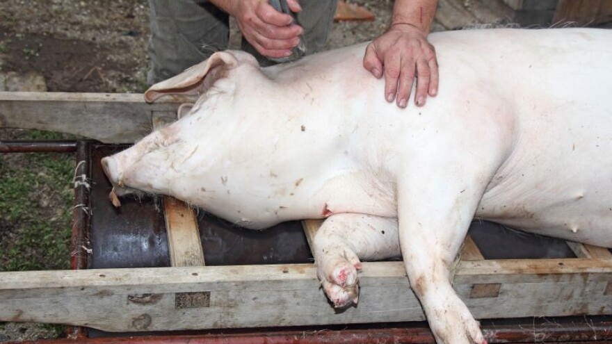 Nova pravila mijenjaju stare navike!