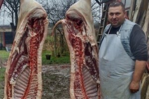 Čuvaju tradiciju slavonske svinjokolje