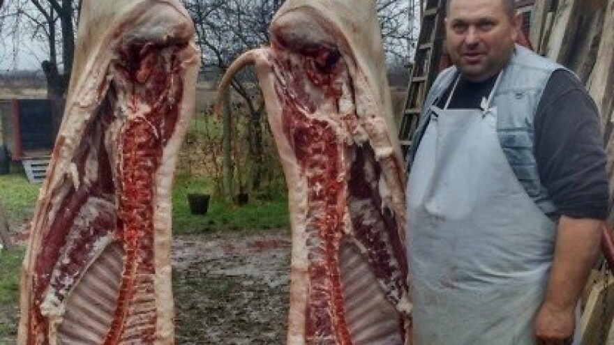 Čuvaju tradiciju slavonske svinjokolje