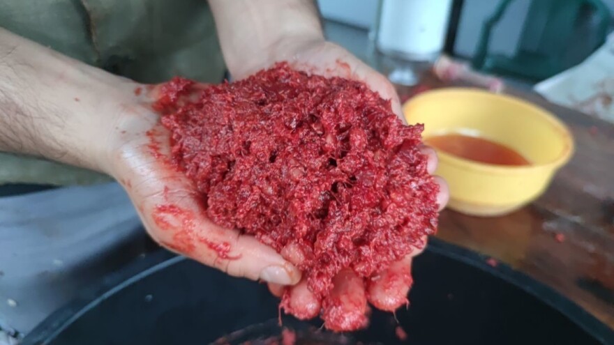 Kako kuhati iznutrice i izraditi krvavicu - korisni savjeti i trikovi