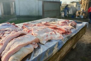 Svinjokolja i afrička svinjska kuga: U kojim zonama i uz koje uvjete se može obavljati?