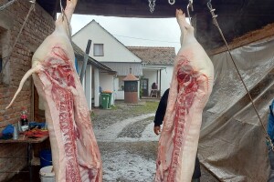 Uz pomoć uzgajivačima od 7,5 milijuna, kreće i isplata obećanih 600 eura za svinjske polovice
