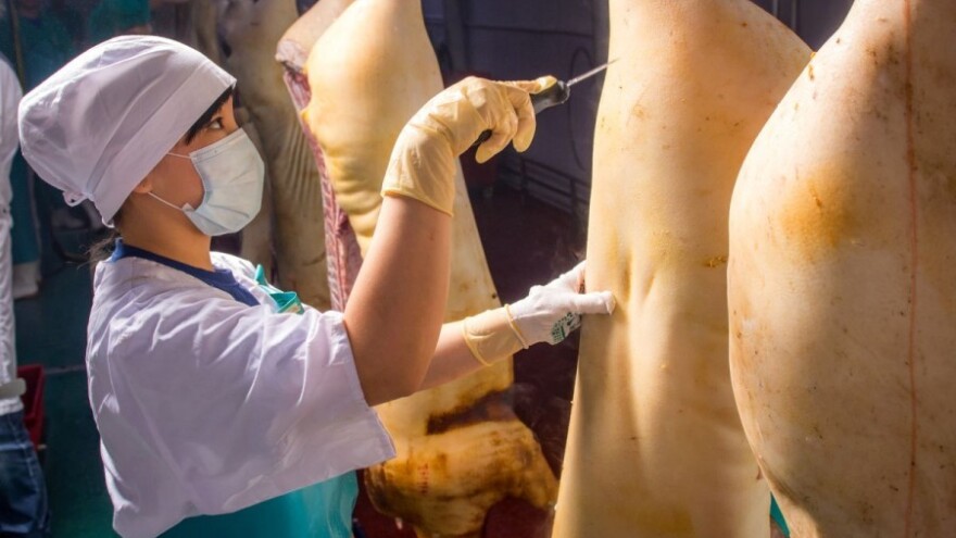 Najveća operacija razotkrivanja patvorene hrane