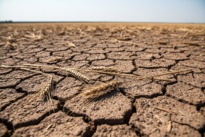 Svjetska banka zabrinuta zbog rasta cijena hrane