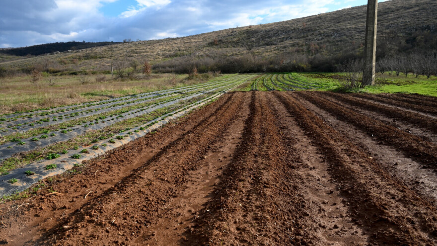 Ako je april vlažan, onda je valjan, a šta ćemo sa mrazom?
