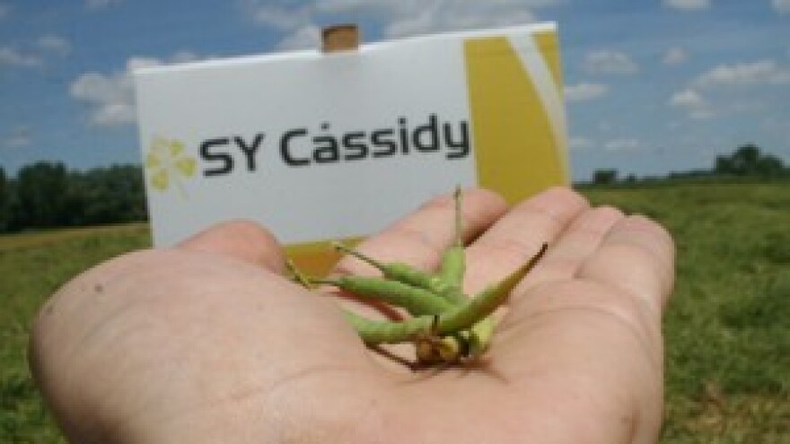 Syngenta Centralni dan polja