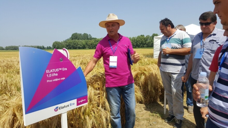 Zahvaljujući ELATUS Eri - novom najmoćnijem oružju u zaštiti od bolesti, polja pšenice i ječma još se zelenila u Vaškoj
