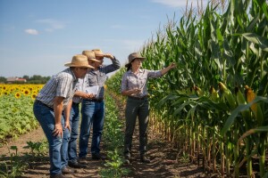 Syngenta Centralni dan polja