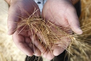 3. Syngentino savjetovanje za poljoprivredne apotekare