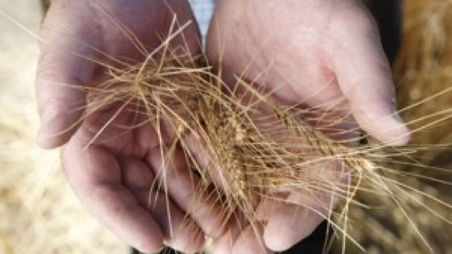 3. Syngentino savjetovanje za poljoprivredne apotekare