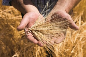 Syngenta nagrađuje članove OptiTech kluba