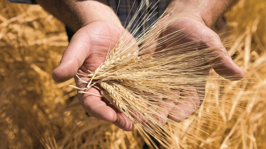 Syngenta nagrađuje članove OptiTech kluba