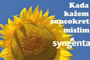 Kada kažem suncokret, mislim Syngenta
