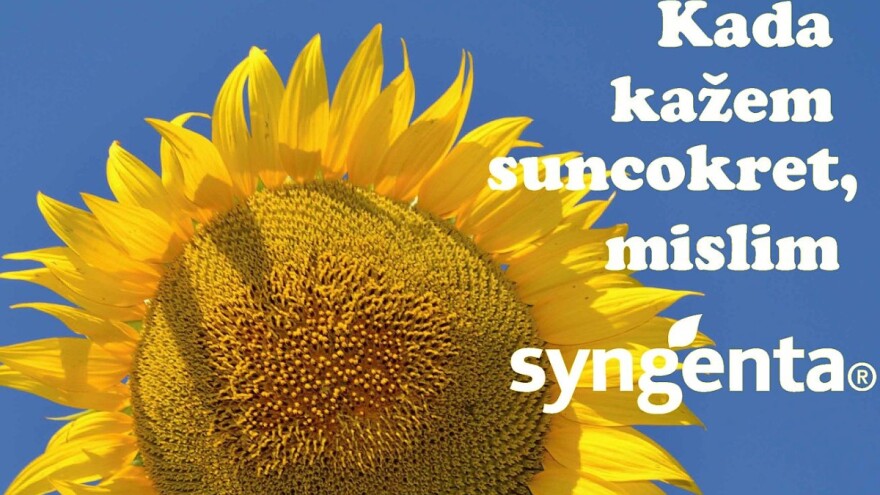 Kada kažem suncokret, mislim Syngenta