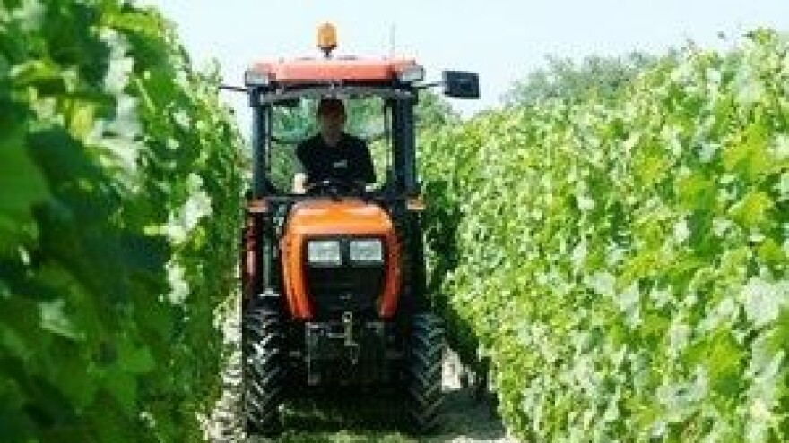 Fungicid koji prati porast vinove loze