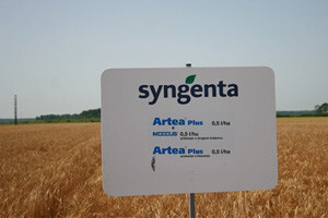 Syngentini centralni Dani polja