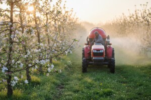 Syngentini savjeti za zaštitu voćaka
